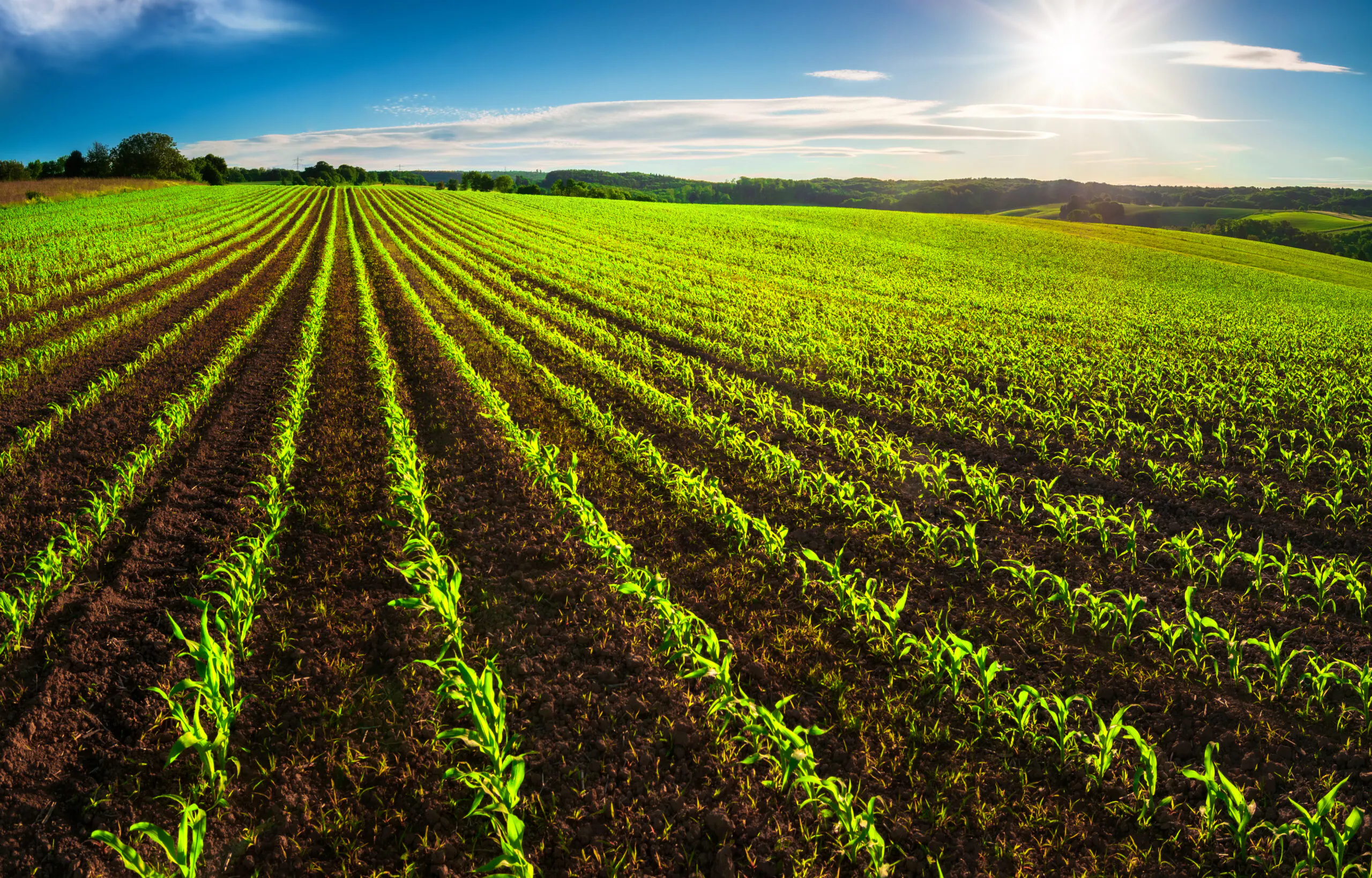Consumers Consider Agriculture and Energy To Be Key Elements For Limiting Climate Change