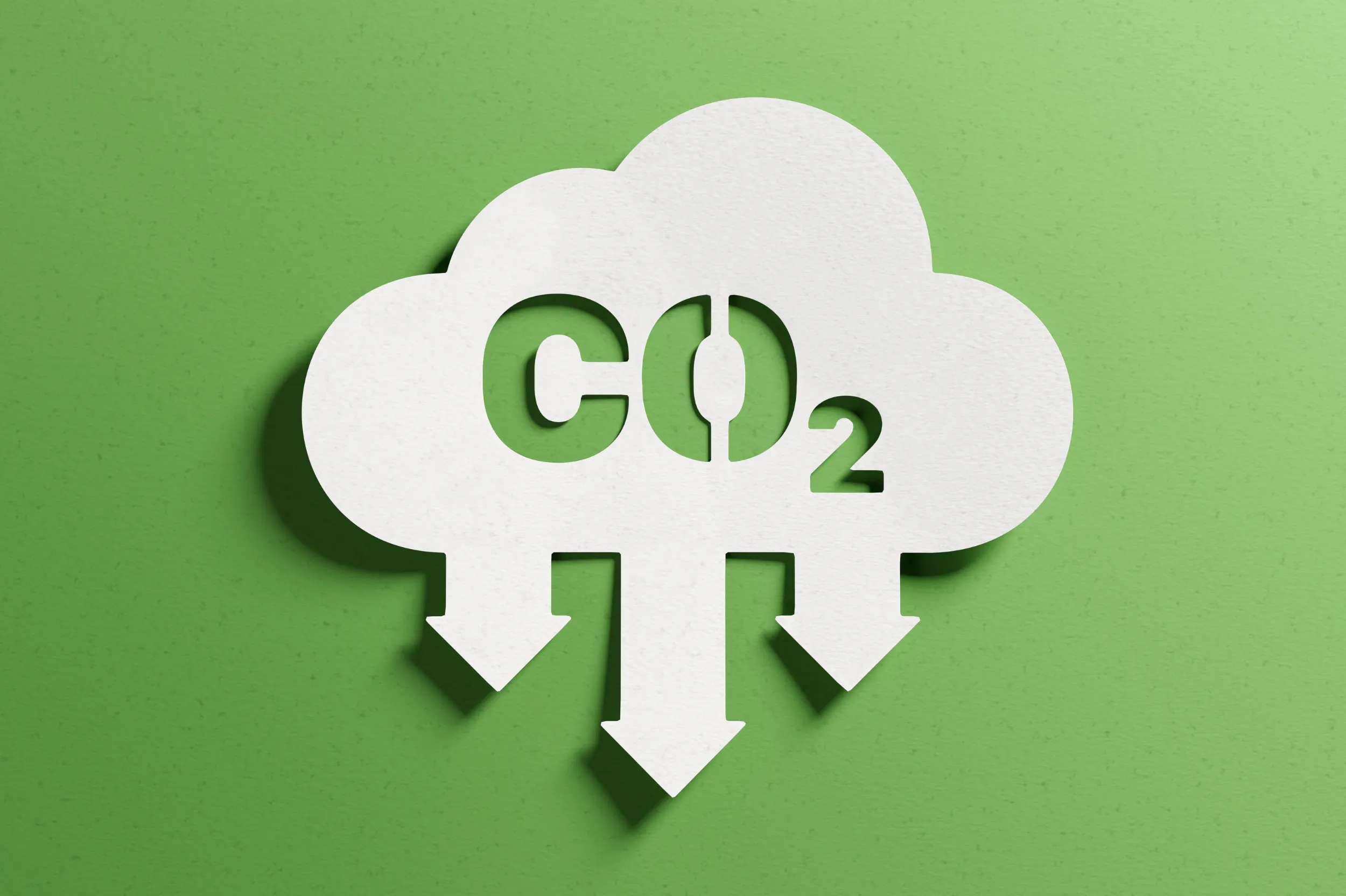 Environment Impacts of Online Advertising